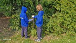 Room 6 Orienteering
